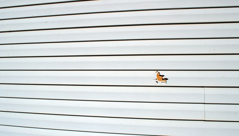 Repaired and Restored Molding