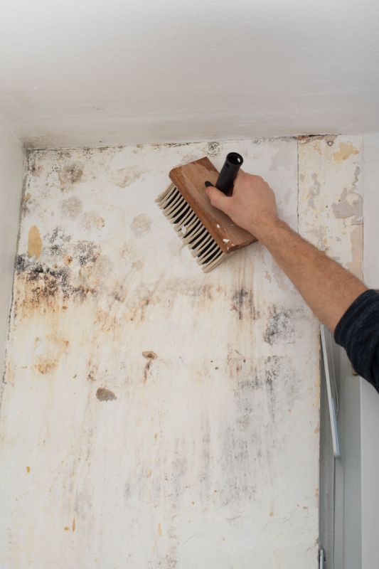 Cleaning Exterior Molding